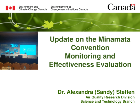 First page of Update on the Minamata Convention Monitoring and Effectiveness Evaluation