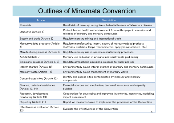 First page of Outlines of Minamata Convention