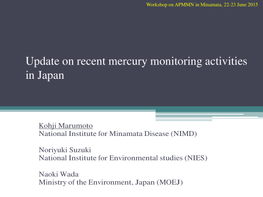 First page of Update on recent mercury monitoring activities in Japan