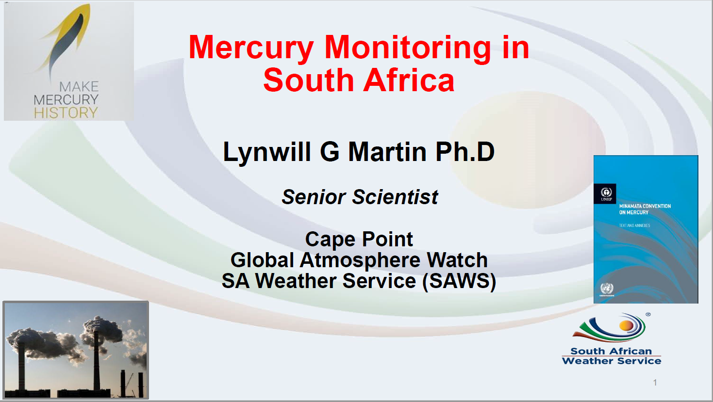 First page of Mercury Monitoring in South Africa