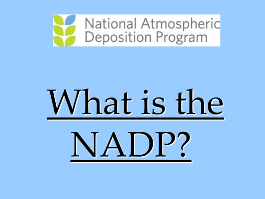First page of NADP MDN AMNet Overview DGay