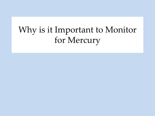 First page of Why Important to Monitor for Mercury